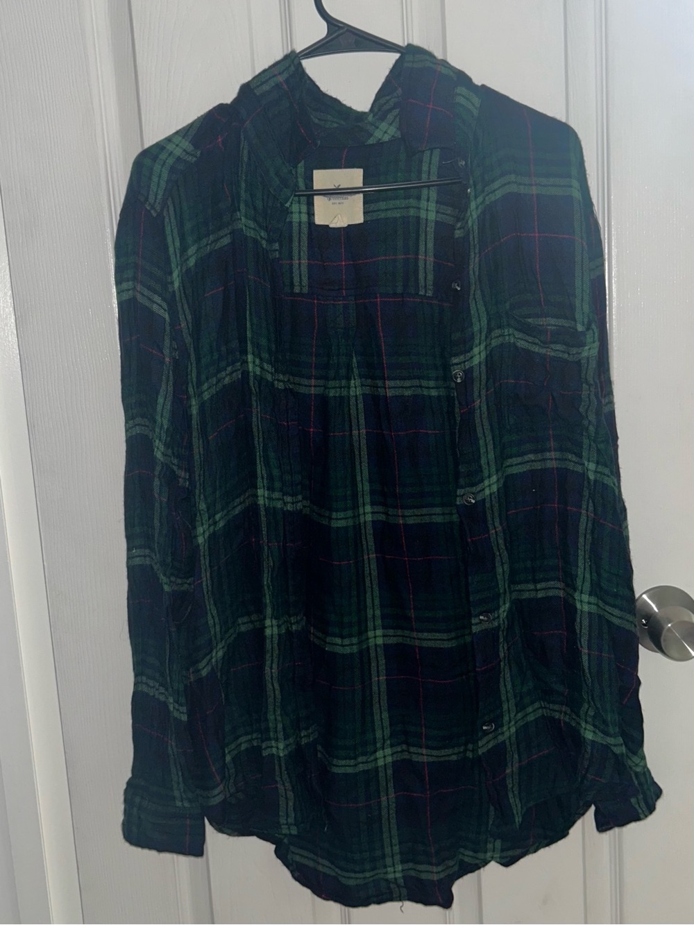 American Eagle Outfitters Green and Black Plaid Button-Down Shirt